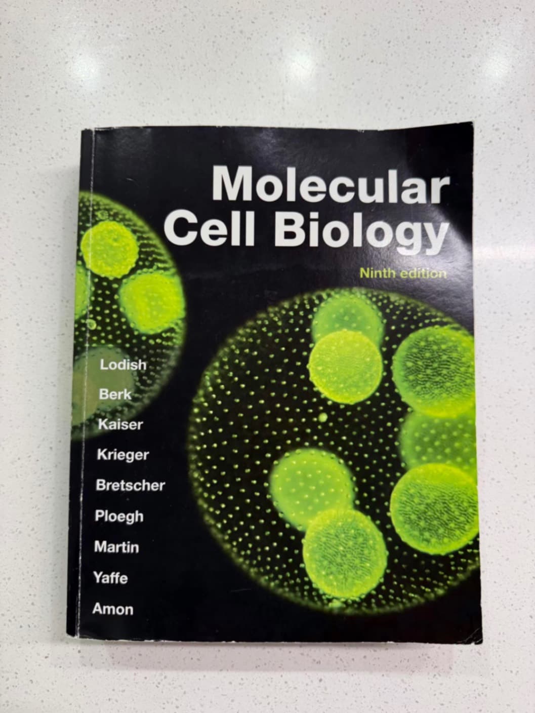 π Graduation Sale | Chemistry, Biochemistry & Cell Biology Textbooks β photo 1